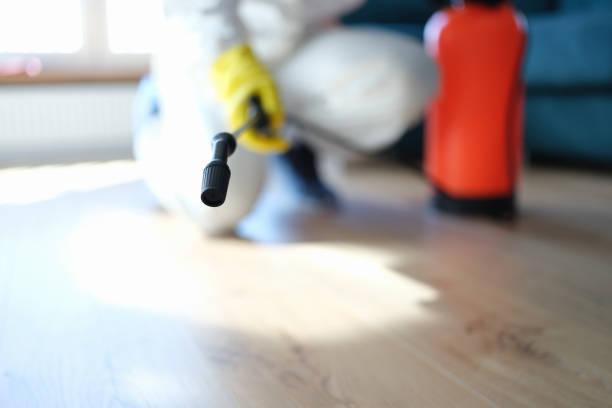Best Forensic Mold Investigation  in Mountainair, NM