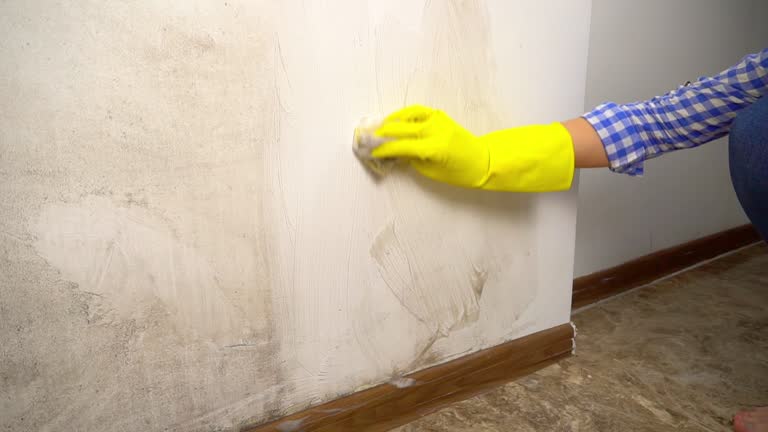 Best Indoor Air Quality Assessment  in Mountainair, NM