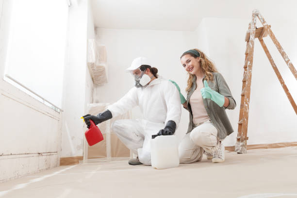 Best Mold Damage Restoration  in Mountainair, NM